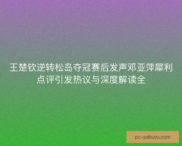 王楚钦逆转松岛夺冠赛后发声邓亚萍犀利点评引发热议与深度解读全